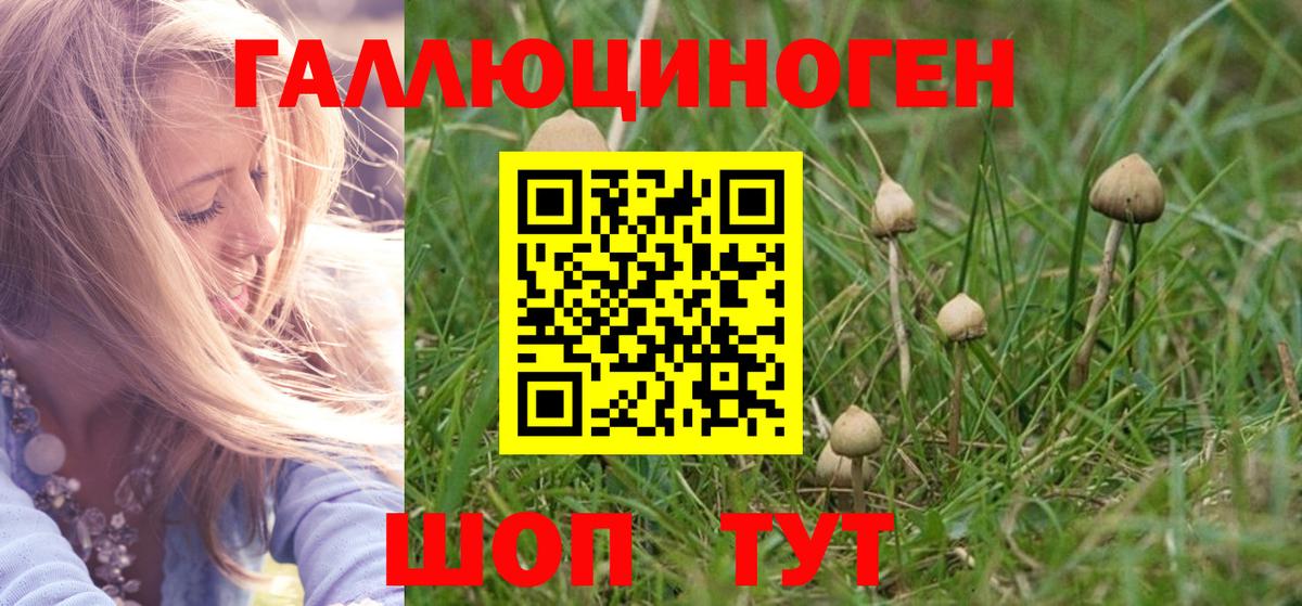 Псилоцибиновые грибы Magic Shrooms  Вход с VPN  Люберцы 